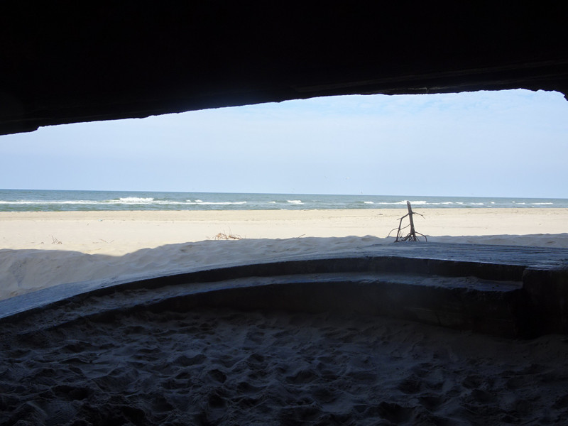 View from inside
