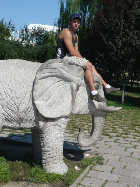 Me on an elephant!