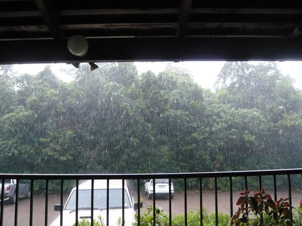 Tropical rain storm
