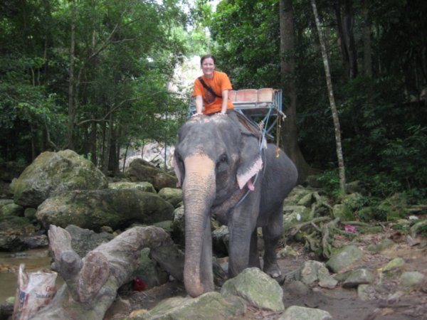 Look Mom!  I'm riding an elephant!