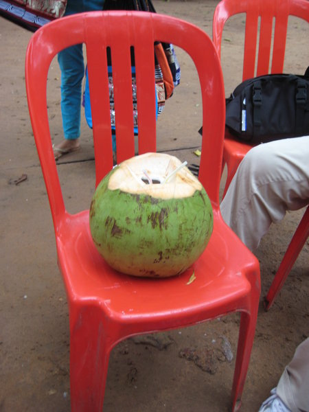 a giant Cambodian coconut!