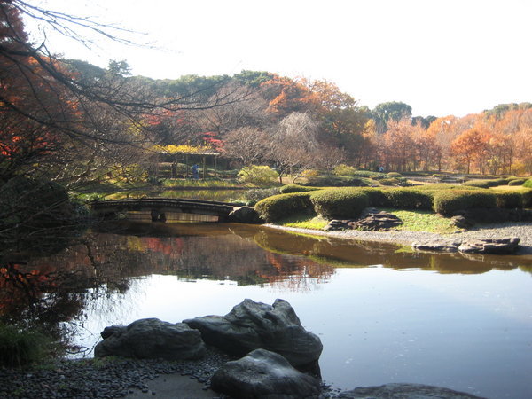 Imperial Gardens Tokyo