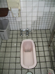 I finally used a Japanese toilet