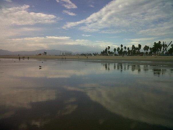 Venice Beach from the Water