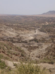 Looking into Olduvai Gorge