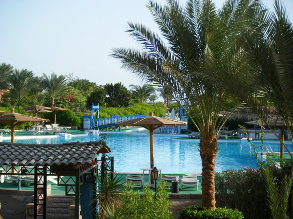 Pool area of the motel