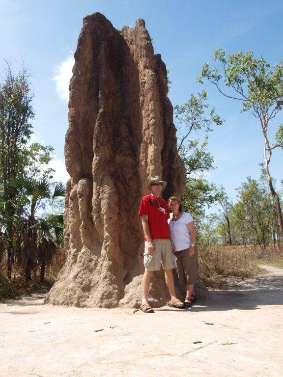 Another termite mound