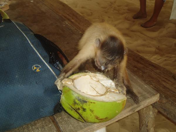 I dont care if Im messy - I love coconut !!!! 