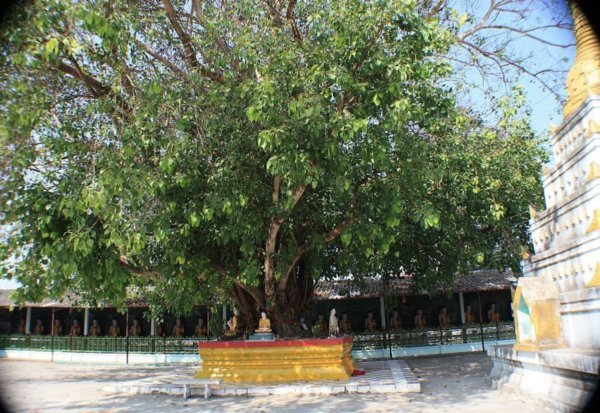 Wat Wattanaram