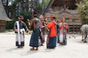 Batak dance