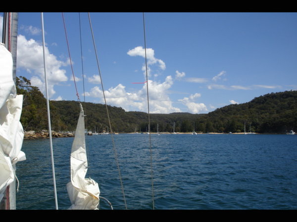 sailing... again.