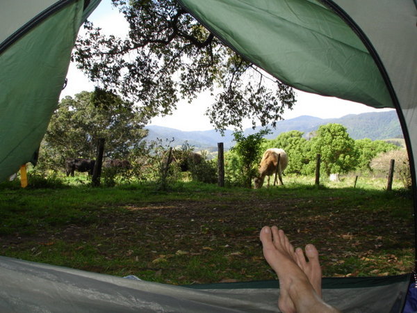 a view from my tent