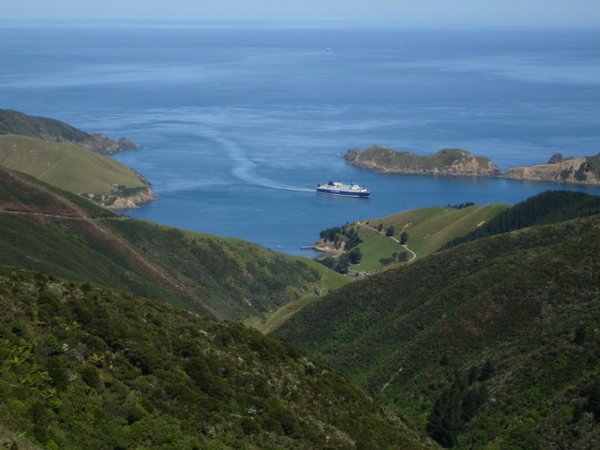 The incoming ferry from the North Island. 