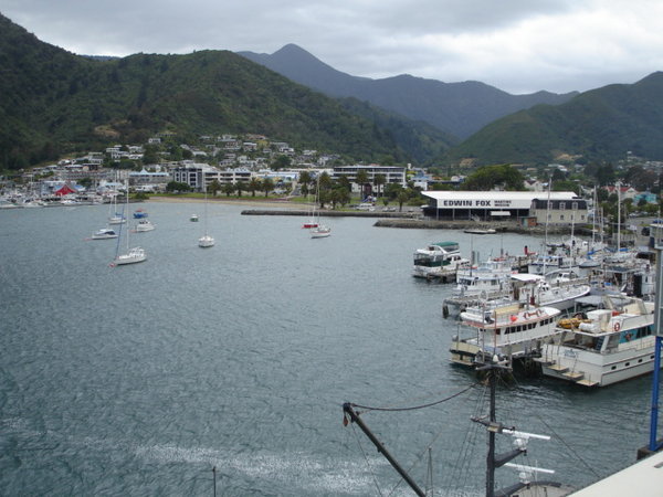 Picton from the ferry. 