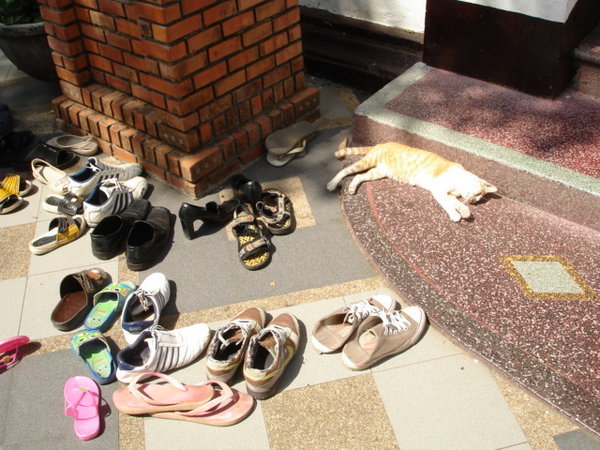 Please leave your shoes and pets outside the temple.