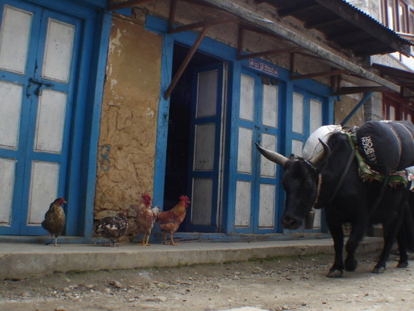 Typical Village Scene.