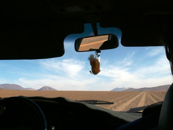 Unterwegs in der Wüste