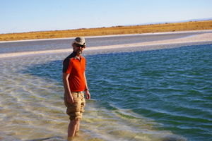 Wading in the salar