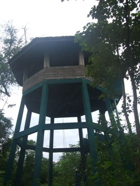 The Elephant Observation Tower