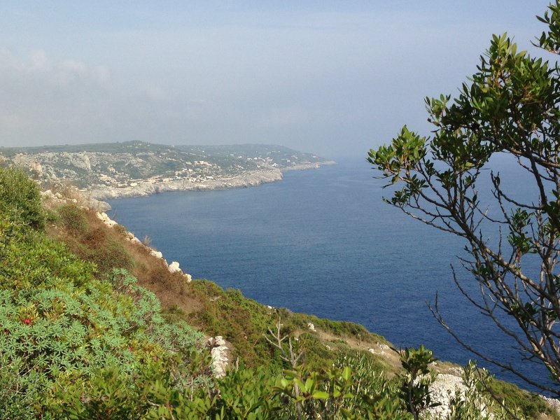 Adriatic coastline