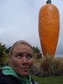 The carrot capital of NZ