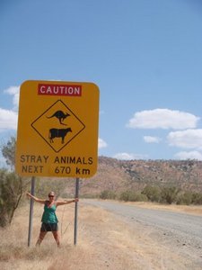 The dangers of the outback