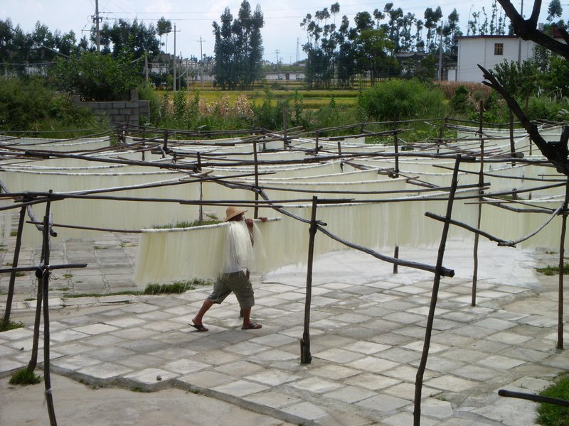 Rice Noodles Drying