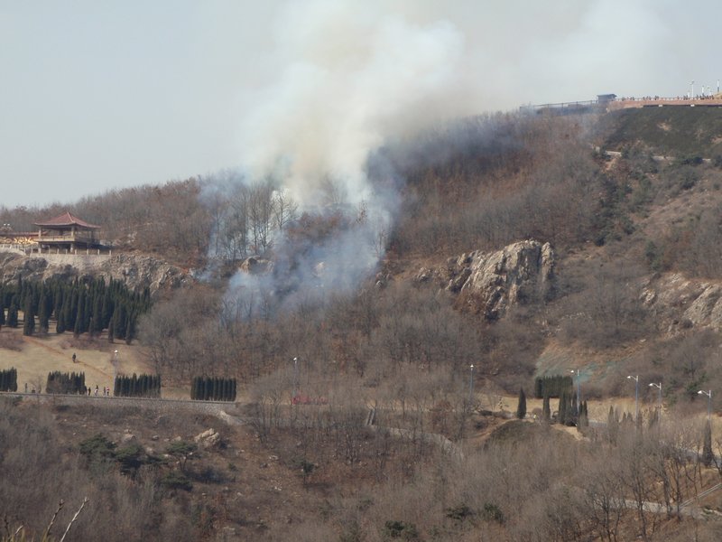 Brush fire