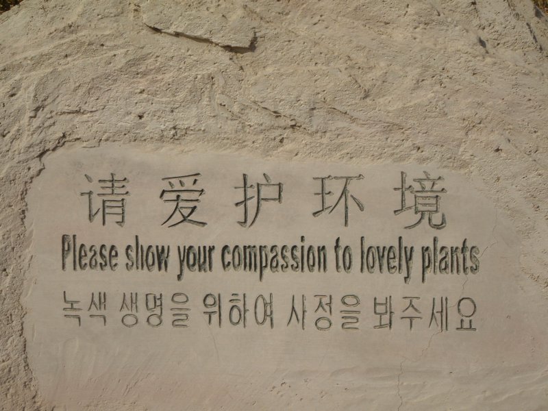 No Chinglish here