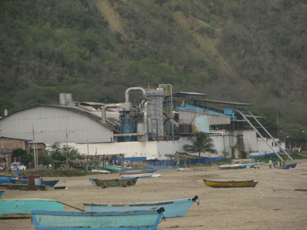 Fish Flour Factory