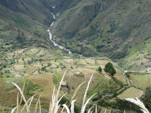 Andes - View