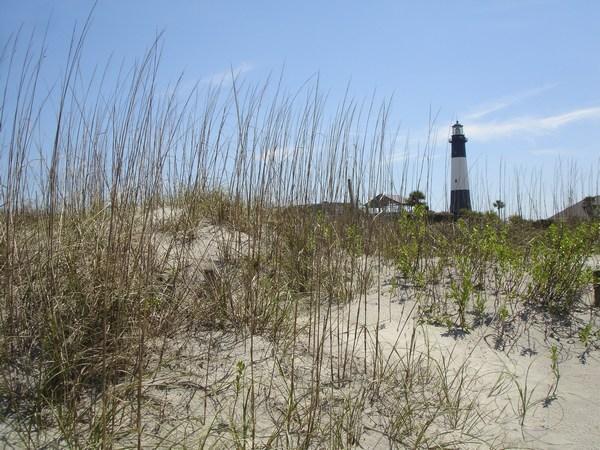 Typical Tybee Island panorama