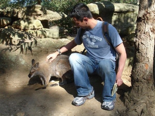 Petting a wallaby