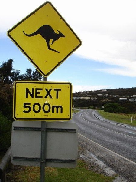 Watch out for kangaroos crossing
