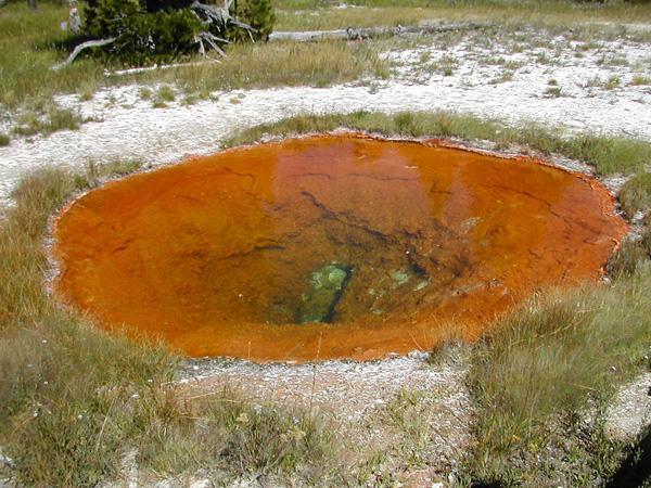 A volcanic puddle