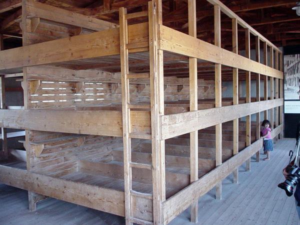 Hundreds of bunkbeds
