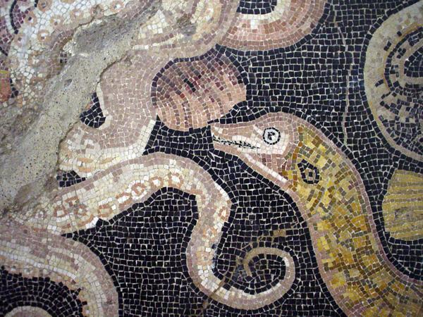 Pompeii Mosaic