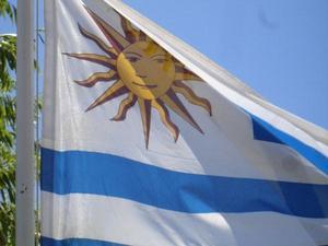 Uruguayan Flag