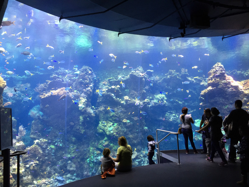 Steinhart Aquarium at the California Academy of Sciences