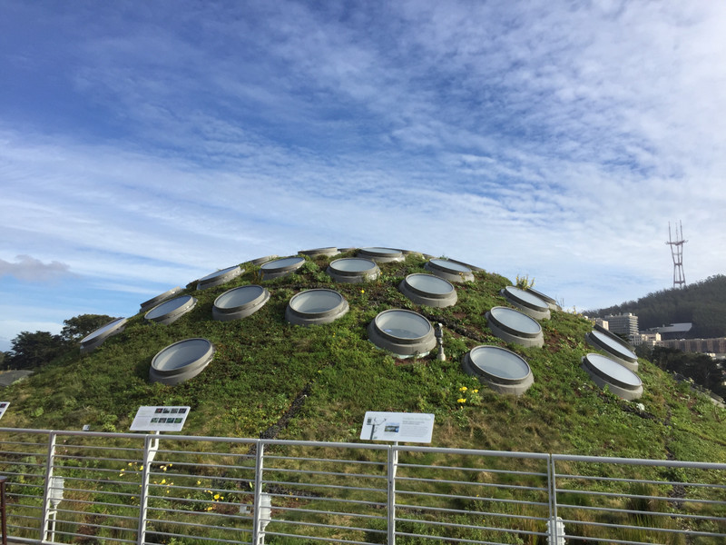 Green Roof of the California Academy of Sciences