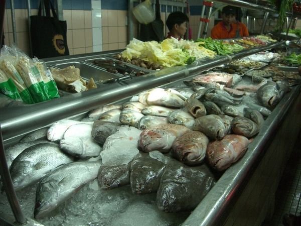 Da liegt mein Abendessen - die Auswahl ist schon nicht schlecht, man muss nur leider gleich den ganzen Fisch nehmen...macht gut satt!