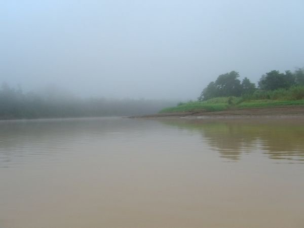 Morgentlicher Nebel ueber dem Kinabatangan-River