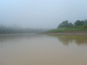 Morgentlicher Nebel ueber dem Kinabatangan-River