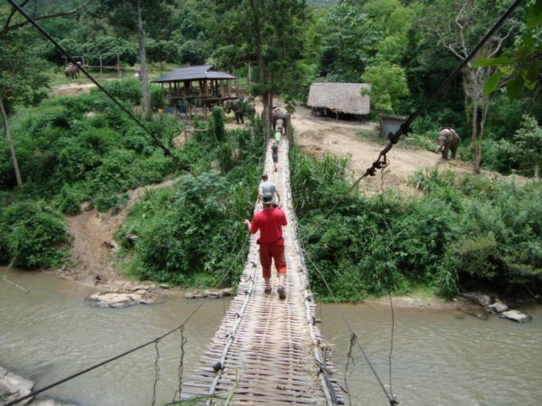 Elephant camp + rickety bridge