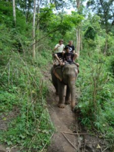 Elephant in Jungle...=funnn time!!