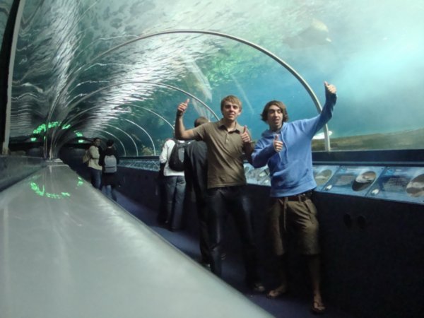 Us in the aquarium