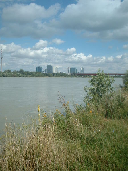The Danube in Vienna