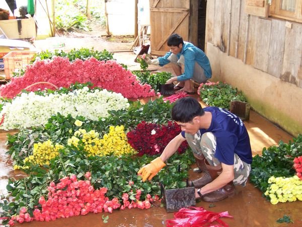 Flowers for the Saigon market