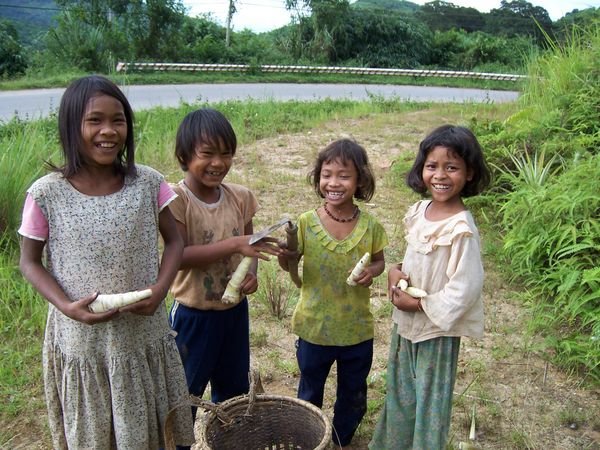 children gathering bamboo shoots