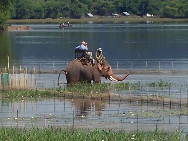 Elephant crossing Lak lake